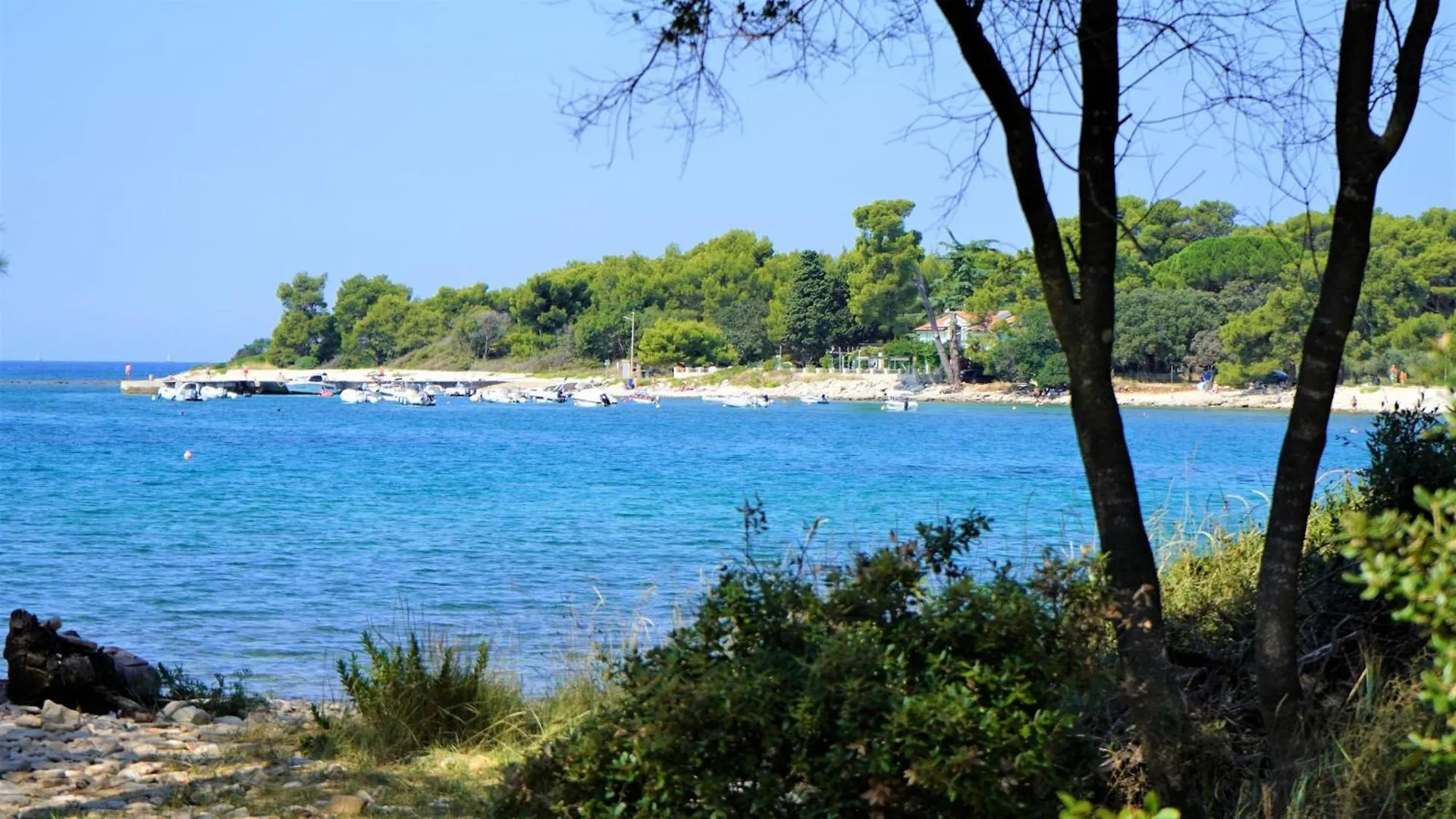 Apartmani Lisicak A4 Vodnjan 0*,  Croatia