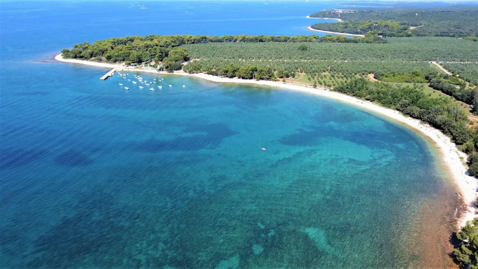 Apartment Apartmani Lisicak A4 Vodnjan Croatia